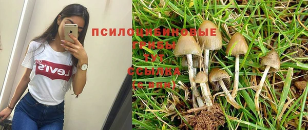 каннабис Майский
