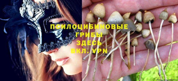 каннабис Майский