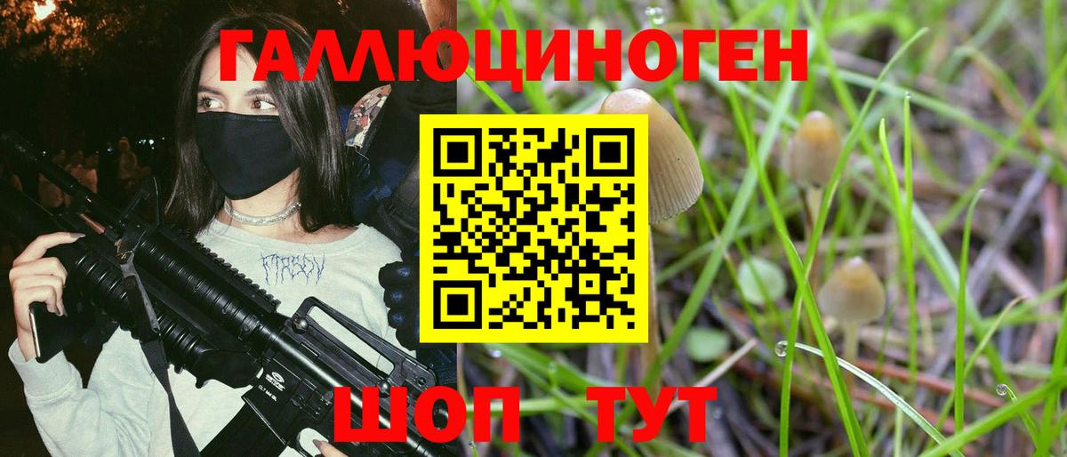 Галлюциногенные грибы мухоморы Кызыл